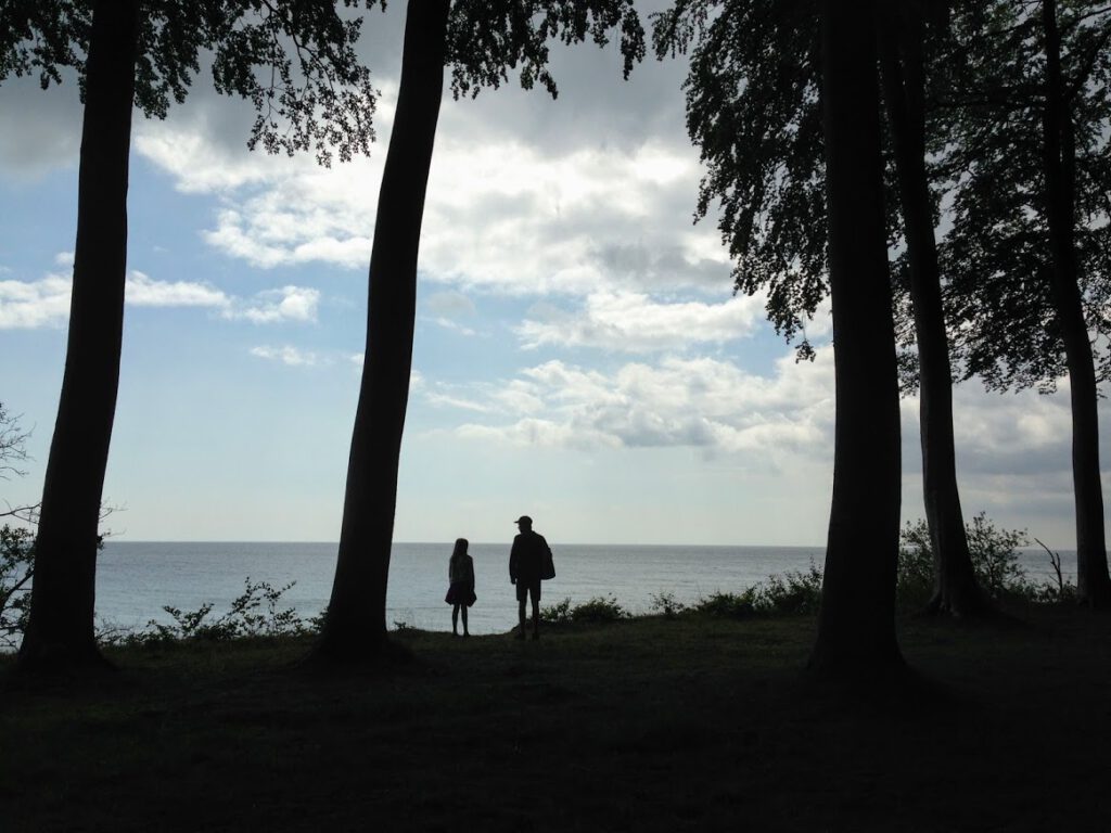 schaduwbomen denemarken